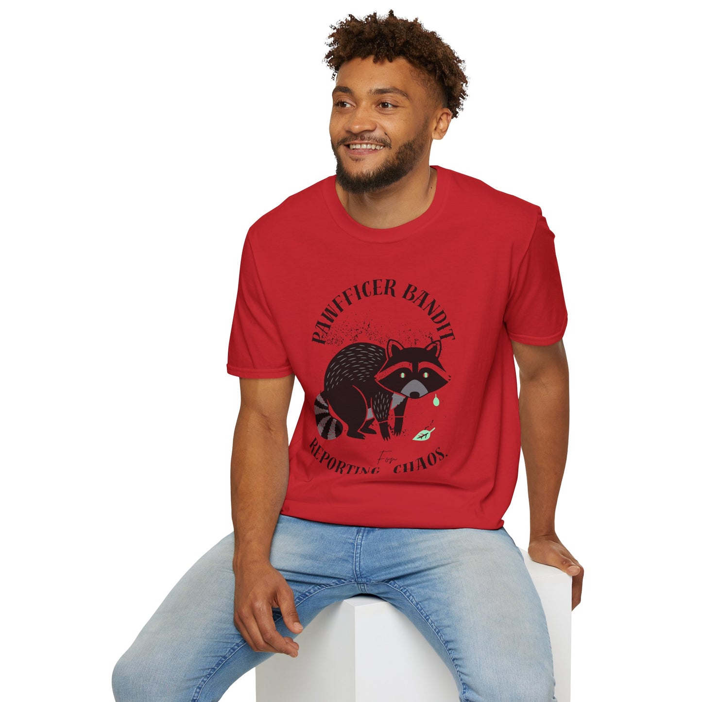 “Racoon Bandit ” T-Shirt — Cute Raccoon Graphic Tee