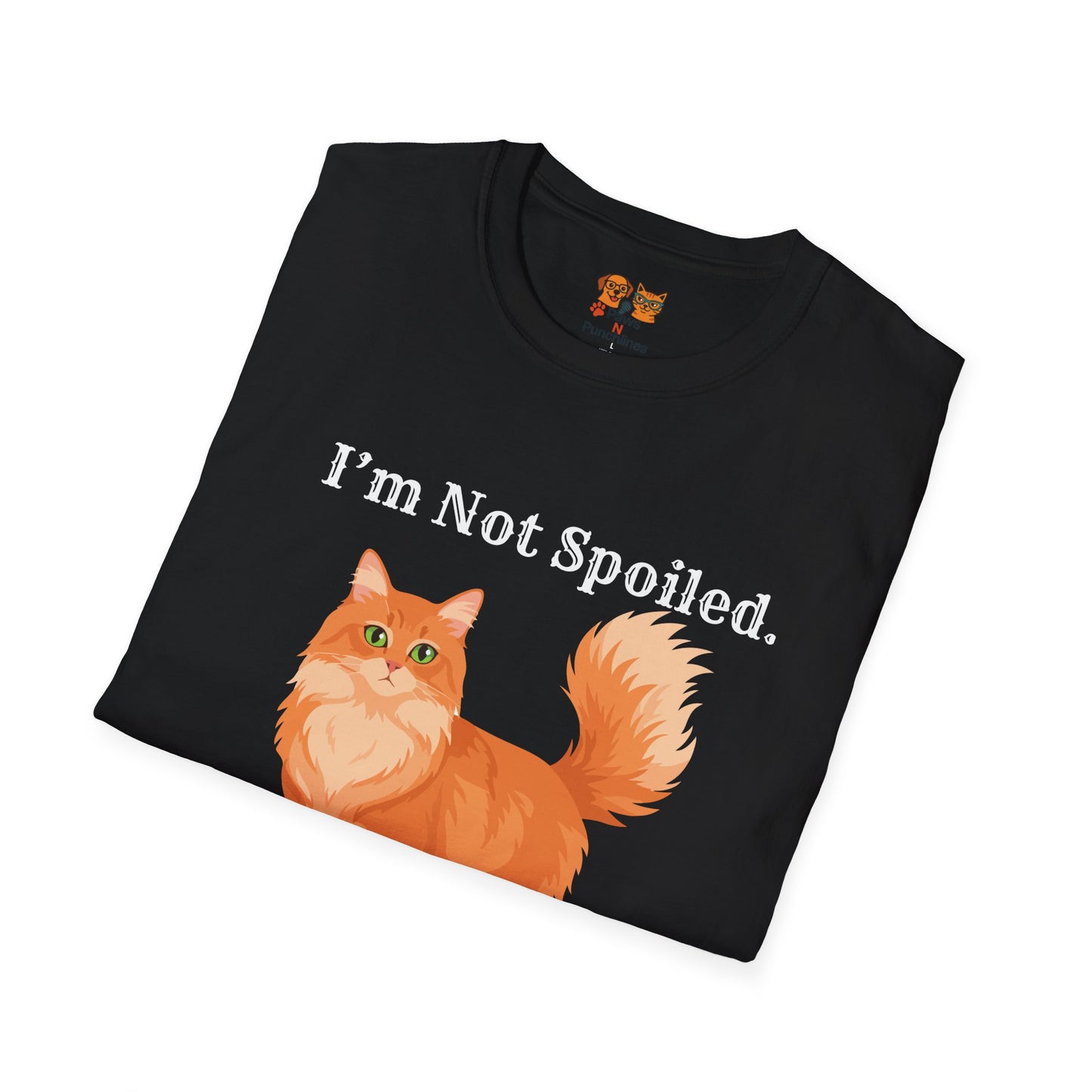 "I'm Not Spoiled, I'm Well-Respected" Funny cat Graphic T-Shirt