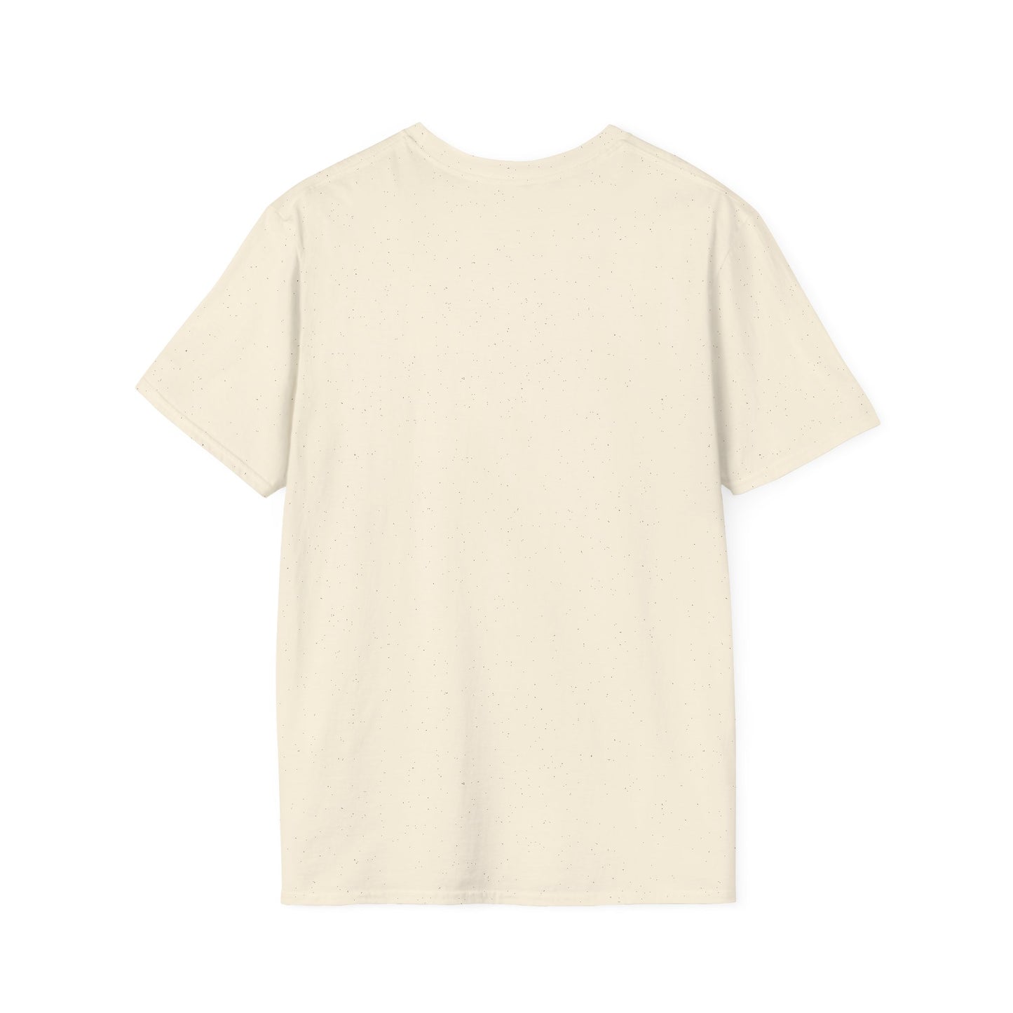 “Racoon Bandit ” T-Shirt — Cute Raccoon Graphic Tee