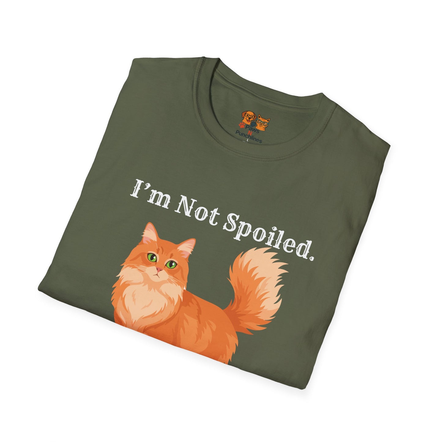 "I'm Not Spoiled, I'm Well-Respected" Funny cat Graphic T-Shirt